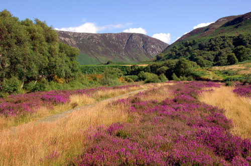 Catacol Glen, Isle of Arran