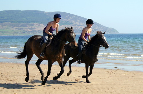 Cairnhouse Stables, Blackwaterfoot, Isle of Arran