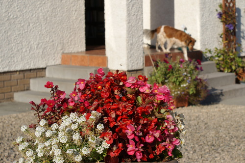 Laighbent B&B, Isle of Arran