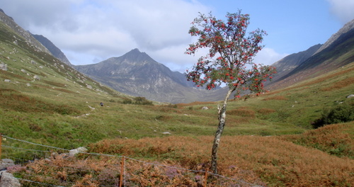 Glen Rosa