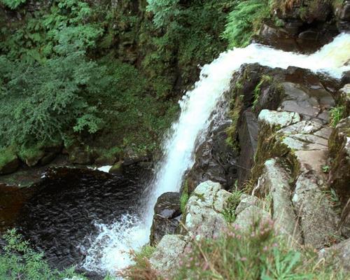 Glenashdale Falls