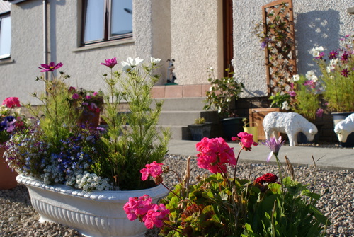 Laighbent B&B, Blackwaterfoot, Isle of Arran